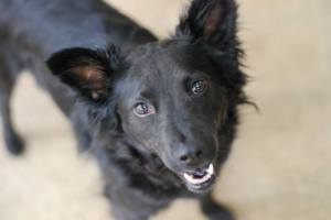 263297_549276745108370_200664285_n